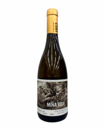 Vinho Espanhol Mina Vida Branco 750ml
